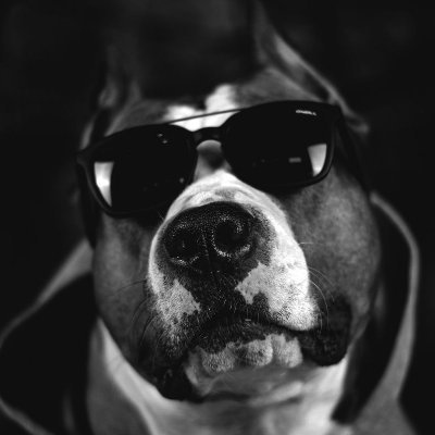 0xBATMEN's profile picture. I'm not the hero you want, I'm the hero you deserve.