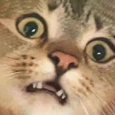 GremlinStormBD's profile picture. After every storm the sun will smile, for every problem there is a solution, and the soul's indefeasible duty is to be of good cheer.