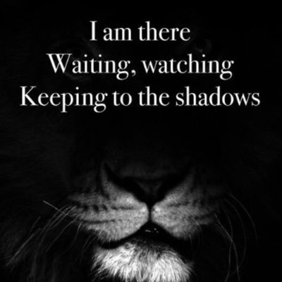 19531066B's profile picture. 