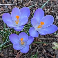 エリオ (@eriojisan) 's Twitter Profile Photo