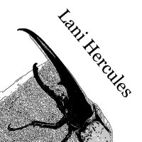 Lani Hercules(mocomoco) (@mocomoco7634) 's Twitter Profile