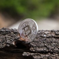 cryptoforever_r (@rcryptoforever) 's Twitter Profile