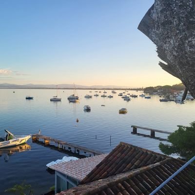 se_baba's profile picture. #Digital #Mobility-for-business #B2B #Event #Business_Manager #Innovative Opinions are my own