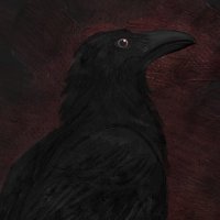 BirdSatan (@brds8n) 's Twitter Profile