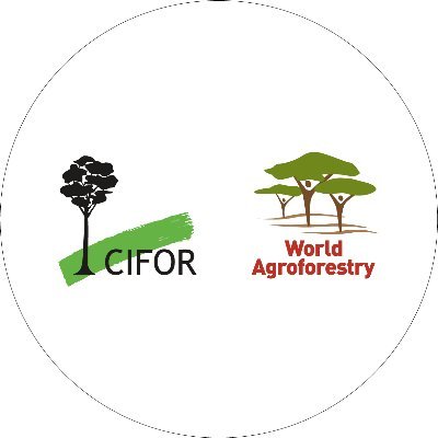 We are excited to announce our new account @CIFOR_ICRAF!
Support the transformative power of trees by following @CIFOR_ICRAF 🌳