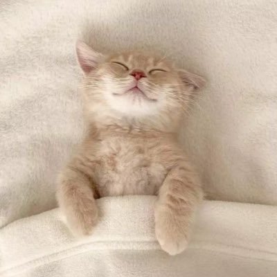 🐈さんのプロフィール画像
