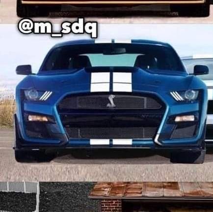 FRANCISCO4779's profile picture. 