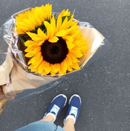 ilina_ms's profile picture. 