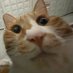 어넌 (@nun_the_) Twitter profile photo 어넌 (@nun_the_) Twitter profile photo