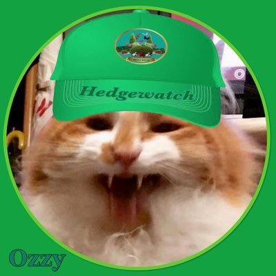 SimonCo81563274's profile picture. Hello we are brother and sister cattos. Special mental health support cattos for our mum #Hedgewatch #catchatbookclub #CalicoCrew #TheAviators #theruffriderz