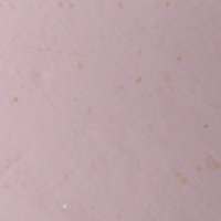 logan (@niteshkumarsw19) 's Twitter Profile