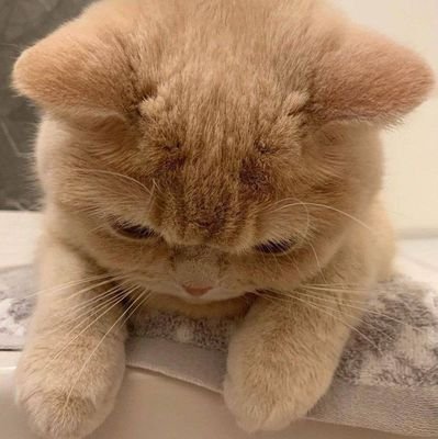 @doanddoor🌻 | infp🧩 #imurseasand #ซซที่ไม่ใช่ซีแซนแต่คือซุ่มซ่าม