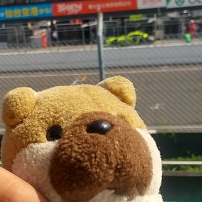 kawatoide1ban's profile picture. 変な原付で鳩峰峠に出没する、おかしい中年眼鏡坊主です。
たまに菅生にも出没します。
これでも一応自動車整備士です。
最近モトクロスに夢中？✨😍✨