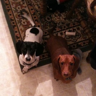 megblock13's profile picture. 