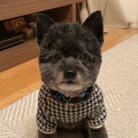 Hideki Takahashi (@hidekitakahash5) 's Twitter Profile Photo Hideki Takahashi (@hidekitakahash5) 's Twitter Profile Photo