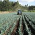 Agrodaycasc (@agrodaycasc8) Twitter profile photo Agrodaycasc (@agrodaycasc8) Twitter profile photo