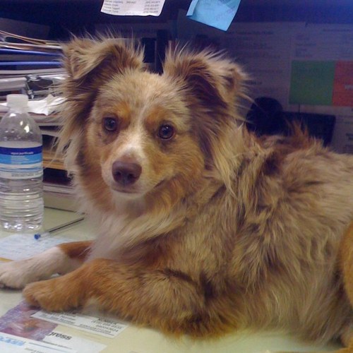 baconbits87's profile picture. 