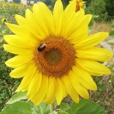 Mama, Ehefrau, PTA.
Hier teile ich ein paar Gedanken aus meinem (Arbeits-)Alltag.