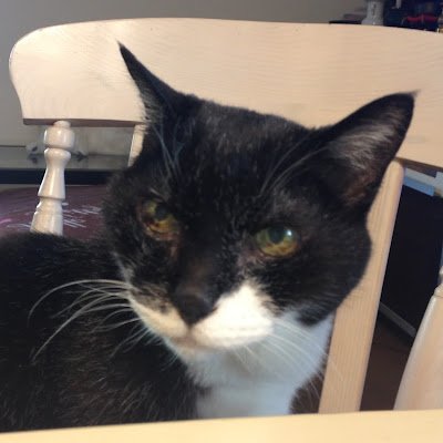 grandpa_kg's profile picture. 