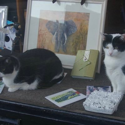 Social enterprise, offering workex to folk having difficulty getting a 1st job and curating Knighton Museum on the side. And don't forget us 4 rescue cats!