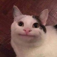 내일 (@tmrwsleo) 's Twitter Profile