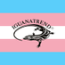 Iguanatrend (@iguanatrend) Twitter profile photo Iguanatrend (@iguanatrend) Twitter profile photo