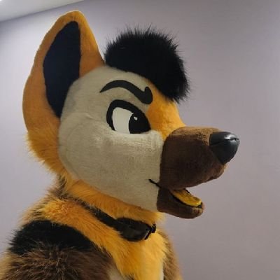 I'm a dog at FWA