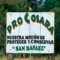 PRO COSARA (@procosara) 's Twitter Profile