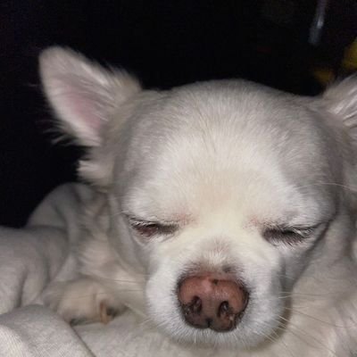 hFWDH071h5ydLbr's profile picture. 