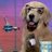 gregdanderson's profile image