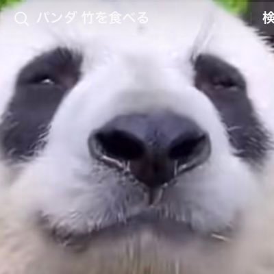 mi_serya's profile picture. ミヤザキ ／ 理学療法士