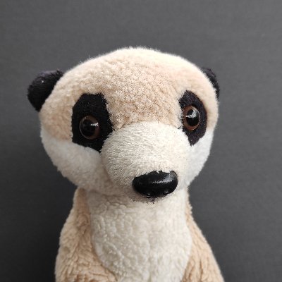 Stokkiekluiver's profile picture. Stokkie is het meest irritante stokstaartje van Twitter dat vaak foto's van @Baliekluiver ontsiert. Kan gemeen bijten maar is daar gelukkig meestal te lui voor.