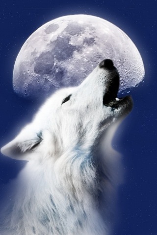 Kimsangels41's profile picture. 