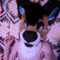Deercat (@bleatmymeat) 's Twitter Profile Photo