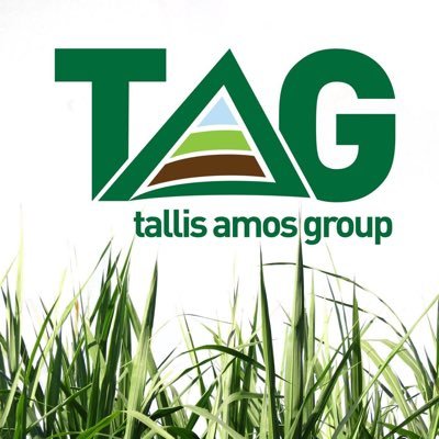 Tallis Amos Group Turf Profile