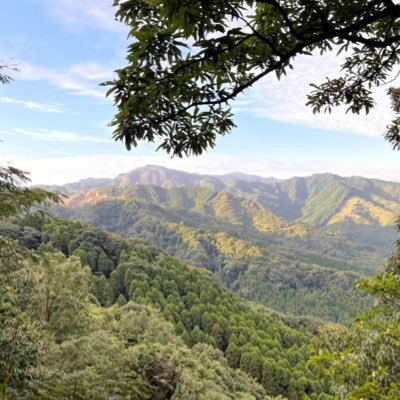 Nx8Ng's profile picture. 