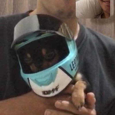 laizlee_bali's profile picture. Bali, Indonesia
2000