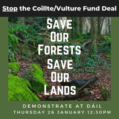 New alliance campaigning to overturn the plans of Coillte to sell land and forestry across Ireland to Gresham House & other private equity funds #saveourforests