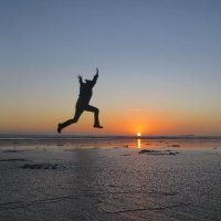 Cheryl Camm (@seapieparcel) 's Twitter Profile
