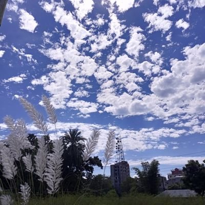 alamnahid1205's profile picture. If you follow me. I'll follow you back