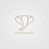 matambandou(@matambandou) 's Twitter Profile Photo