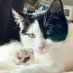 SUNSHINE ๐๐ป๐บ๐ฆ๐ป๐บ๐ฆ๐ป๐๐ (@prettykittty504) Twitter profile photo SUNSHINE ๐๐ป๐บ๐ฆ๐ป๐บ๐ฆ๐ป๐๐ (@prettykittty504) Twitter profile photo