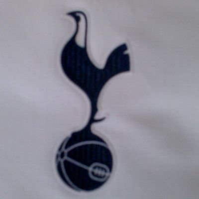 A big Spurs fan