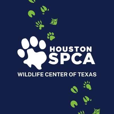 The Houston SPCA's Wildlife Center of Texas treats all injured, sick or orphaned native Texas wildlife species.