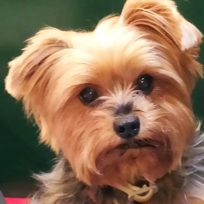 blankbcm's profile picture. 