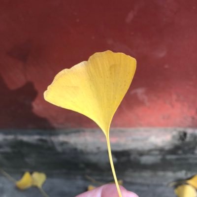Salさんのプロフィール画像