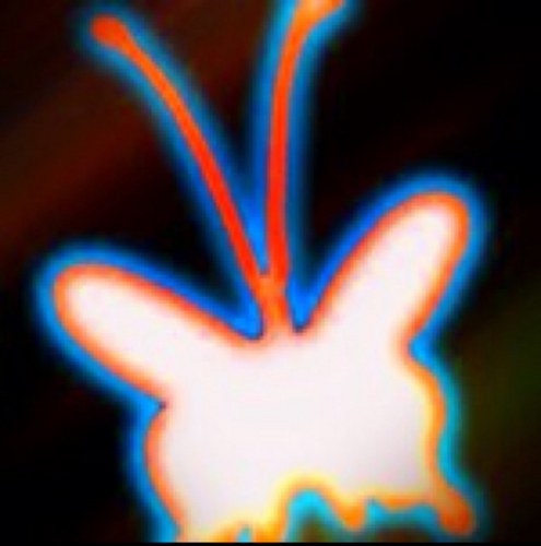 fear2love's profile picture. a journey: from living in fear to love ************************** http://t.co/7tj4af0Ook