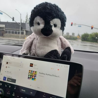 BruceWa31506811's profile picture. 