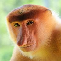 Dave (@dave_p37) 's Twitter Profile