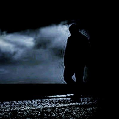 sR13002's profile picture. اکانت دوم @SR13001اکانت اول #پرسپولیس ، #منچستر